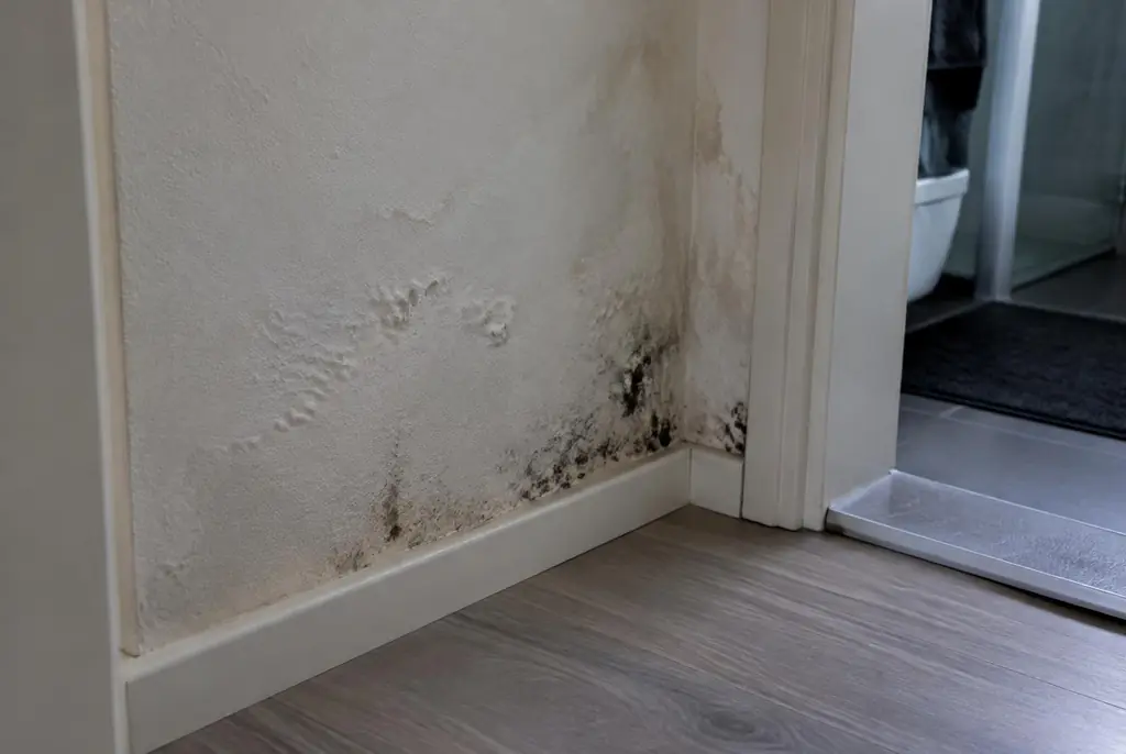 Lekdetectie Kesteren – vochtplek met schimmel op een muur